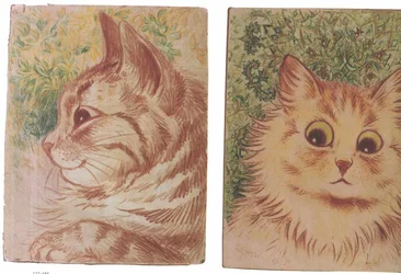 Katzenn Angličtina: Catsn